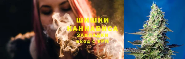 стаф Вязьма